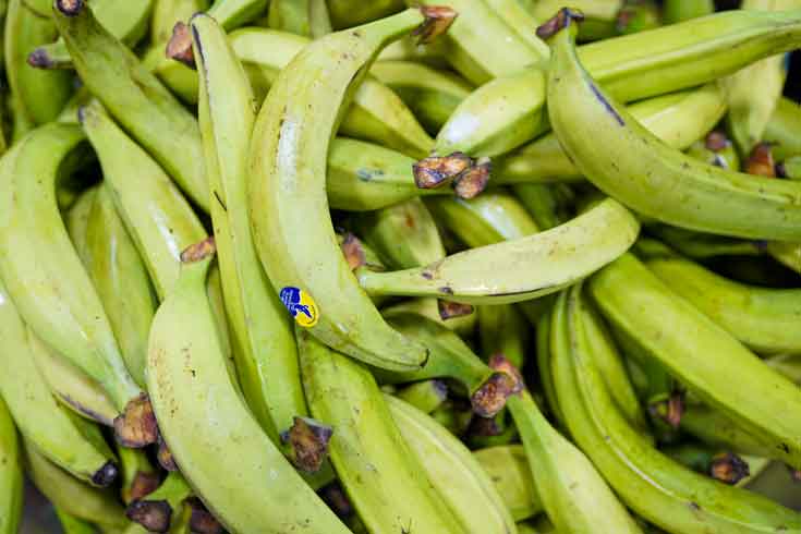 Plantains: The Versatile Staple