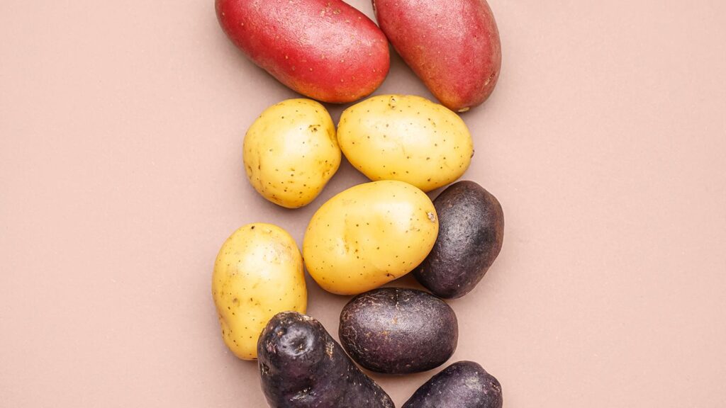 3 types of potatoes (red, russet, and Andean)