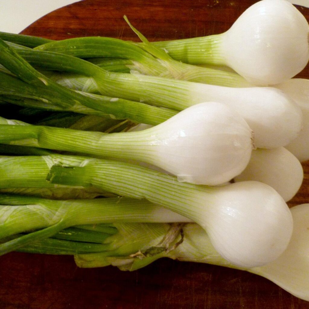 Onions and Green Onions