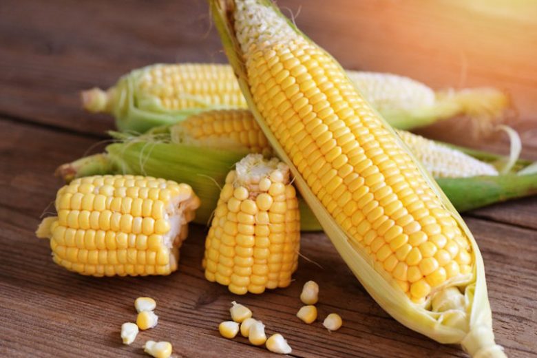 Corn